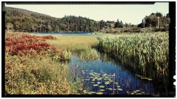 10647008_10154498981195618_5088028764516607392_n