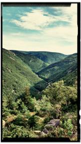 984217_10154498994725618_1094504410596489157_n