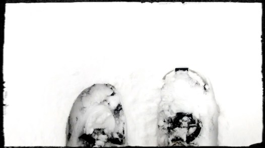 parc montmorency 022