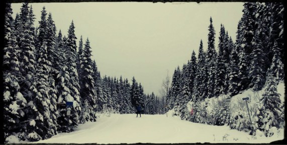 parc montmorency 023