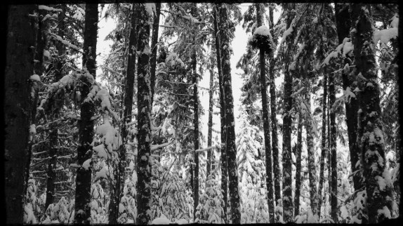 parc montmorency 028