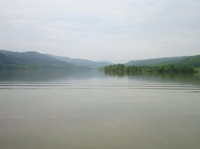 254557_10150638924570618_195353_n