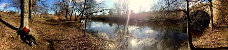 12903731_10154058181356323_386347046_o