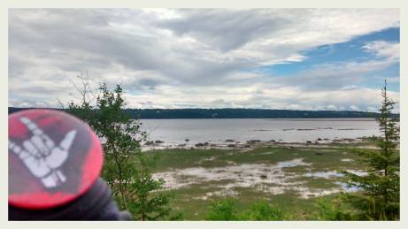 13502908_10156956597590618_6710885073097339736_o