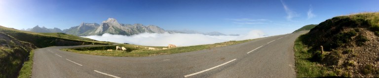 Photo 16-07-21 09 35 19.jpg