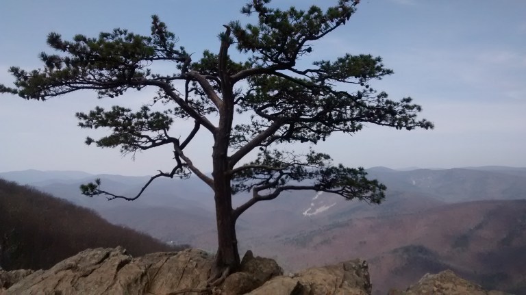 IMG_20170415_120100210