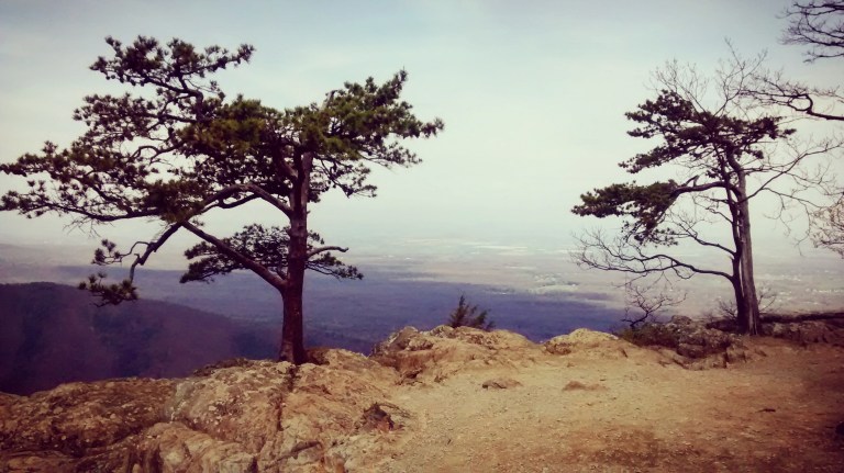 IMG_20170415_161854_102