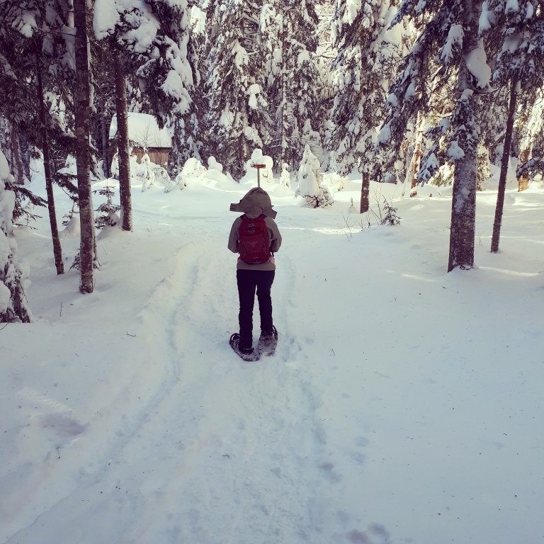 IMG_20180110_204657_054