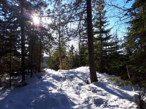 48412821_1194078764100981_6830950063276032000_n