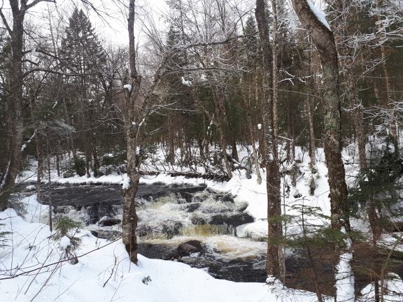 48414900_1518731671593041_4542721406432968704_n