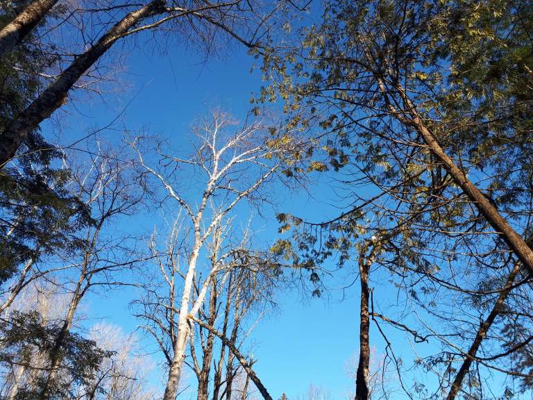 48991628_1970544246574218_8727646645262483456_n