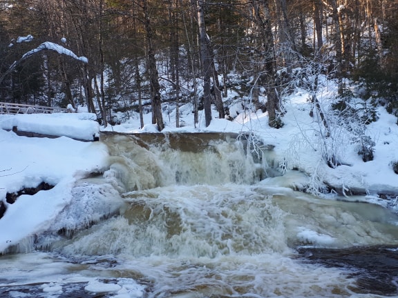 49033022_2495642773796677_1240834511583838208_n