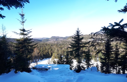 49044822_940585142809339_6230020865107427328_n