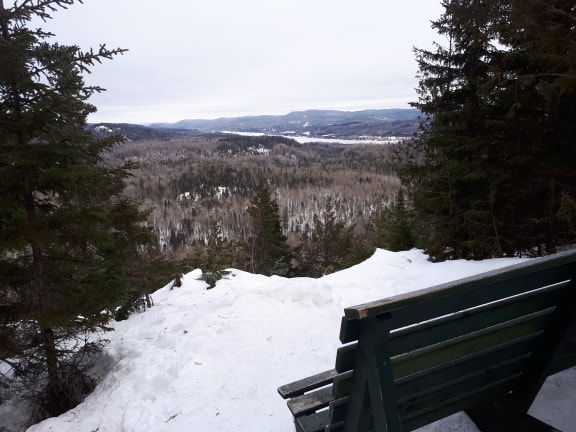 49064802_2004305432986451_2755023410722504704_n