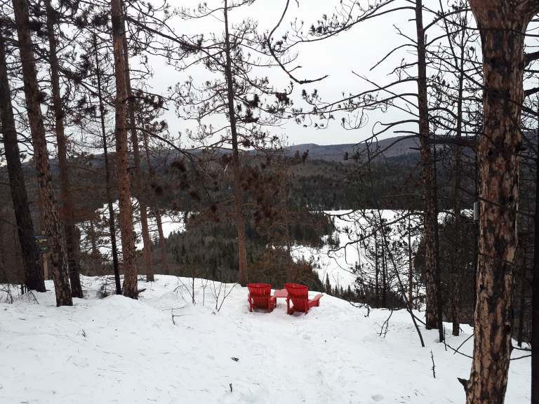 49157259_223555031757556_8231797150590173184_n