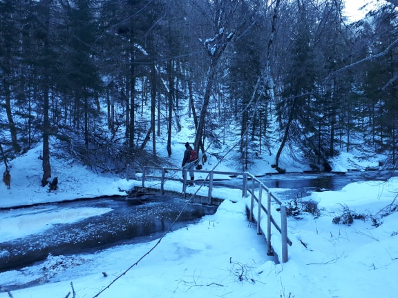 49503065_204713787135960_6959539215159787520_n