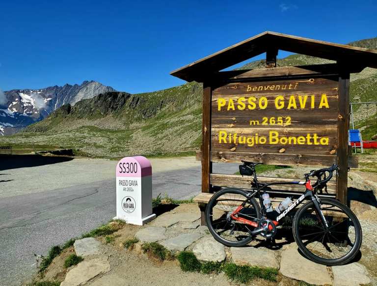 gavia5